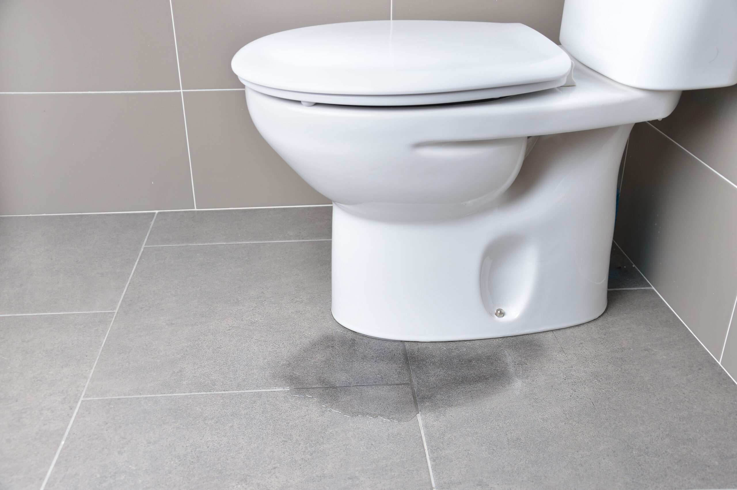 Water pooling or damp patches on the floor