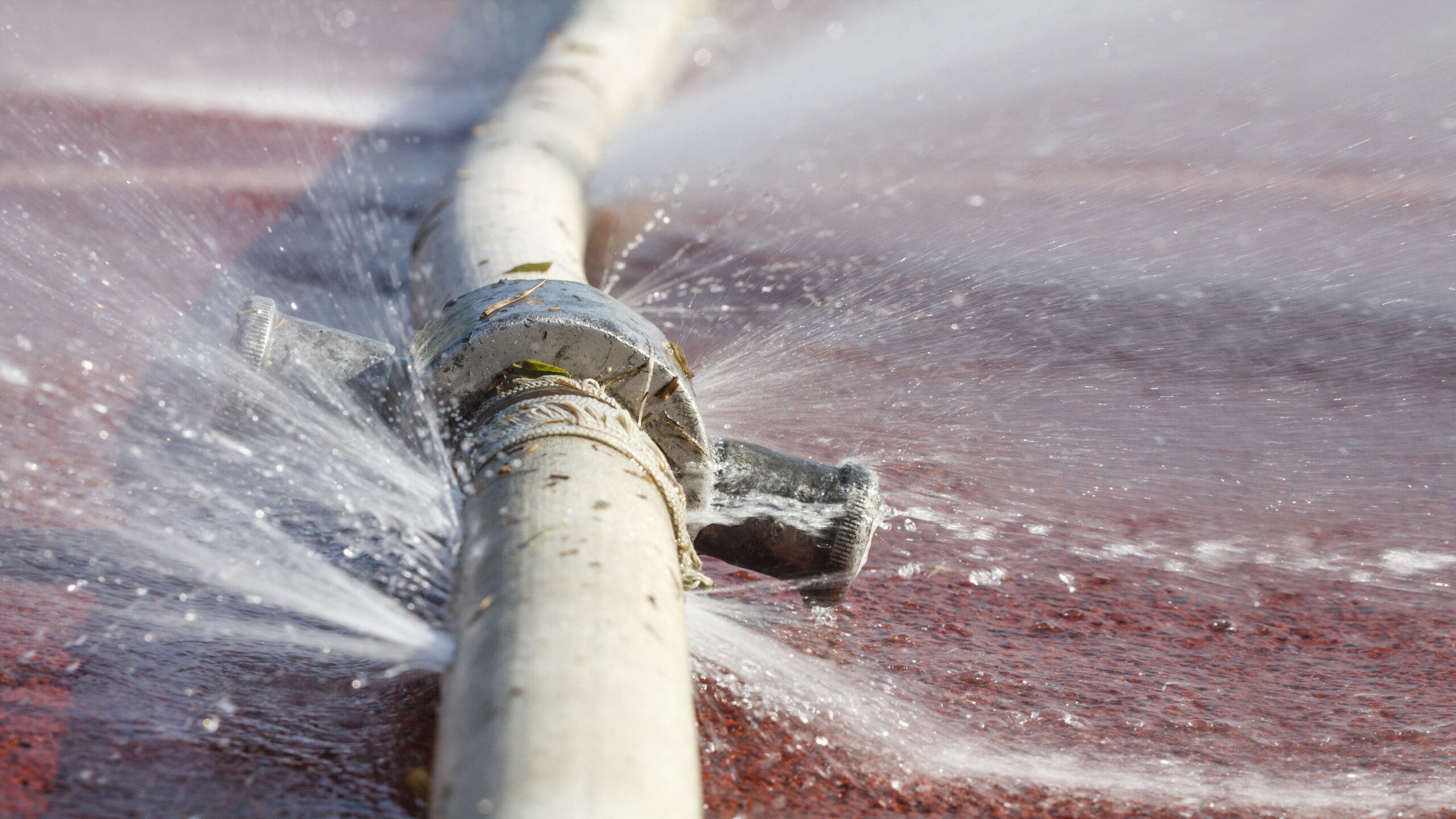 Indentations, cracks or sink holes in your yard or foundations