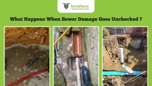 What Happens When Sewer Damage Goes Unchecked?