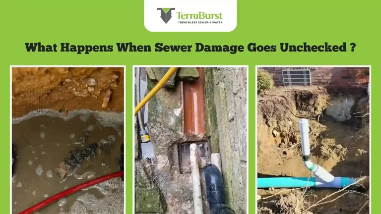 What Happens When Sewer Damage Goes Unchecked?